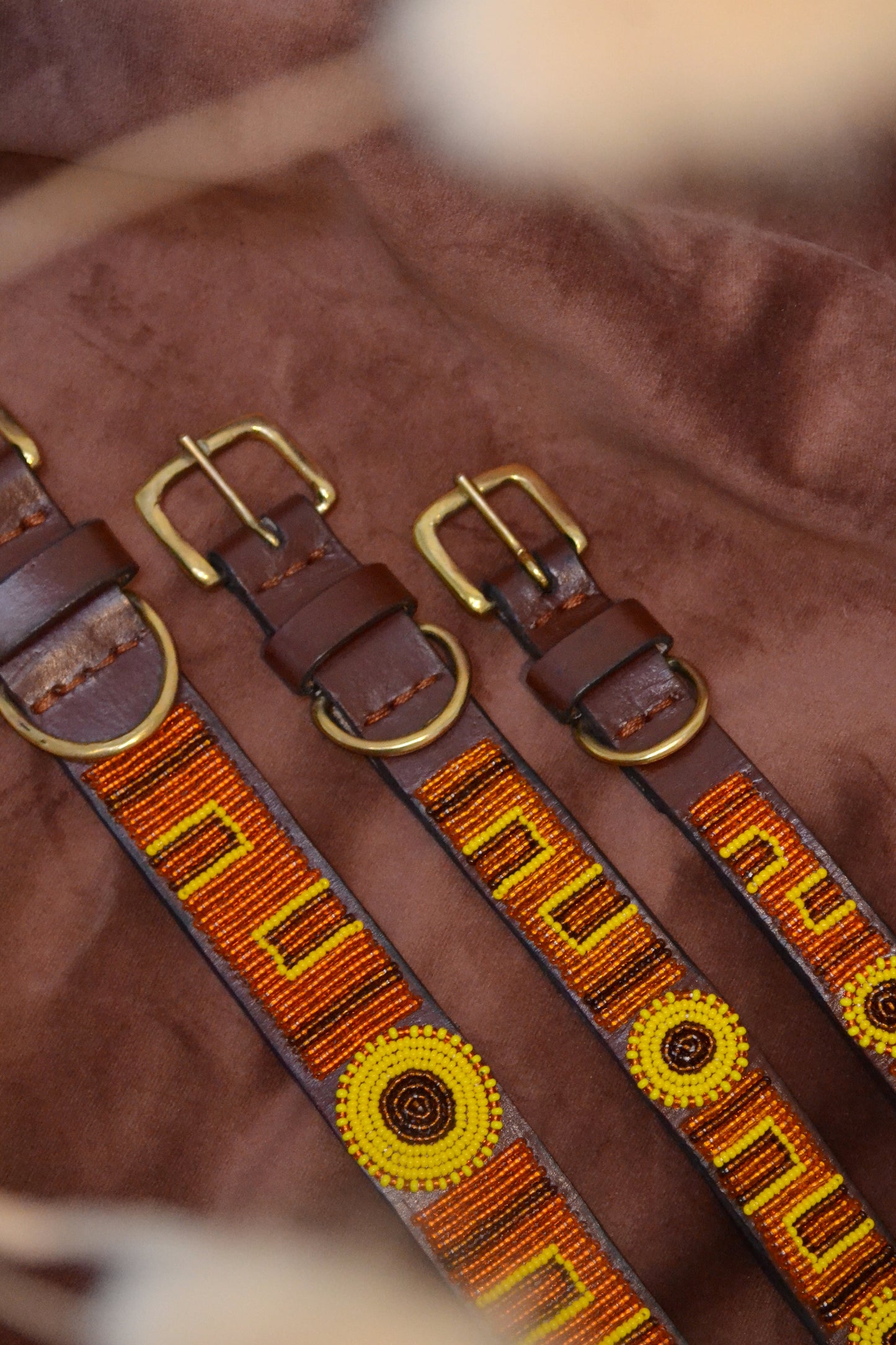 Radiate Sunrise Leiband