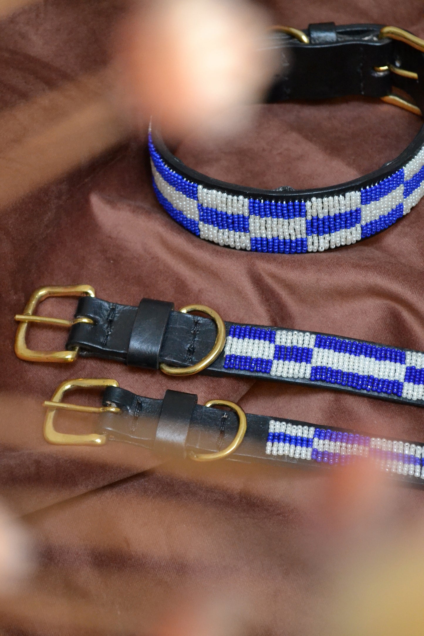 Cobalt Disco Collar